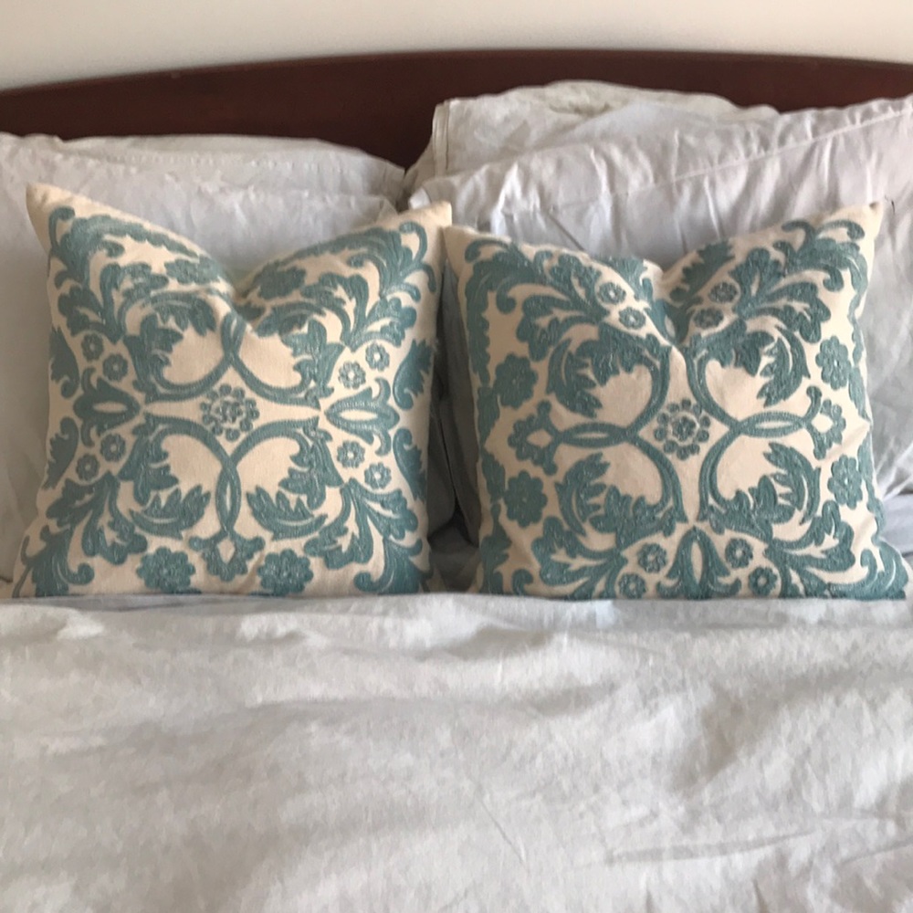 Turquoise and cream decor down pillow (set of 2)